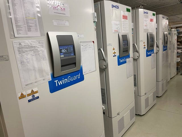 epidemiologie-moleculaire1